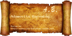 Adamovits Barnabás névjegykártya